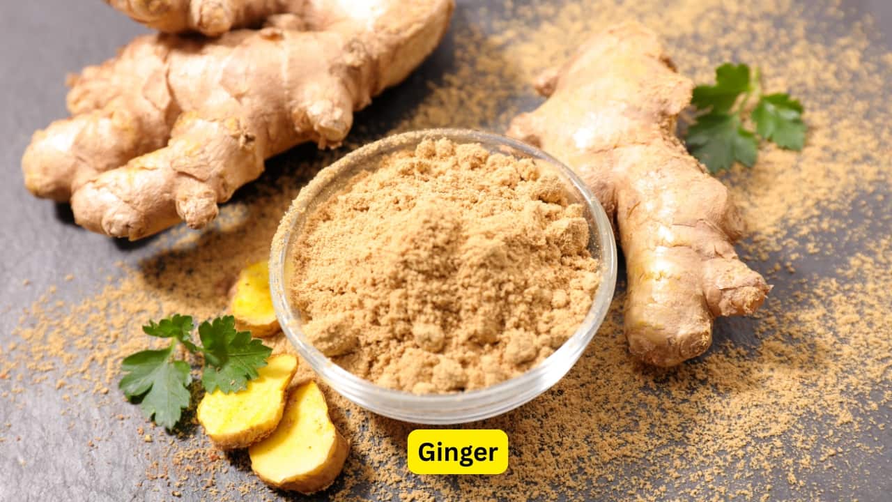 Ginger Having ‘adrak ki chai’ is a norm in Indian households. A cup of ginger tea isn’t just comforting, fresh ginger can fight certain viruses and ease inflammation at the same time.(Image: Canva) Ginger Having ‘adrak ki chai’ is a norm in Indian households. A cup of ginger tea isn’t just comforting, fresh ginger can fight certain viruses and ease inflammation at the same time.(Image: Canva)