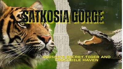 Satkosia Gorge – Odisha’s Secret Tiger and Crocodile Haven