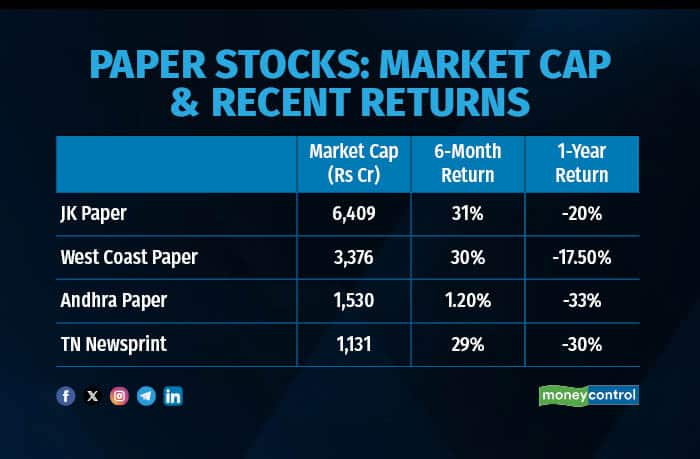 Paper stocks have given negative returns in the last one year 