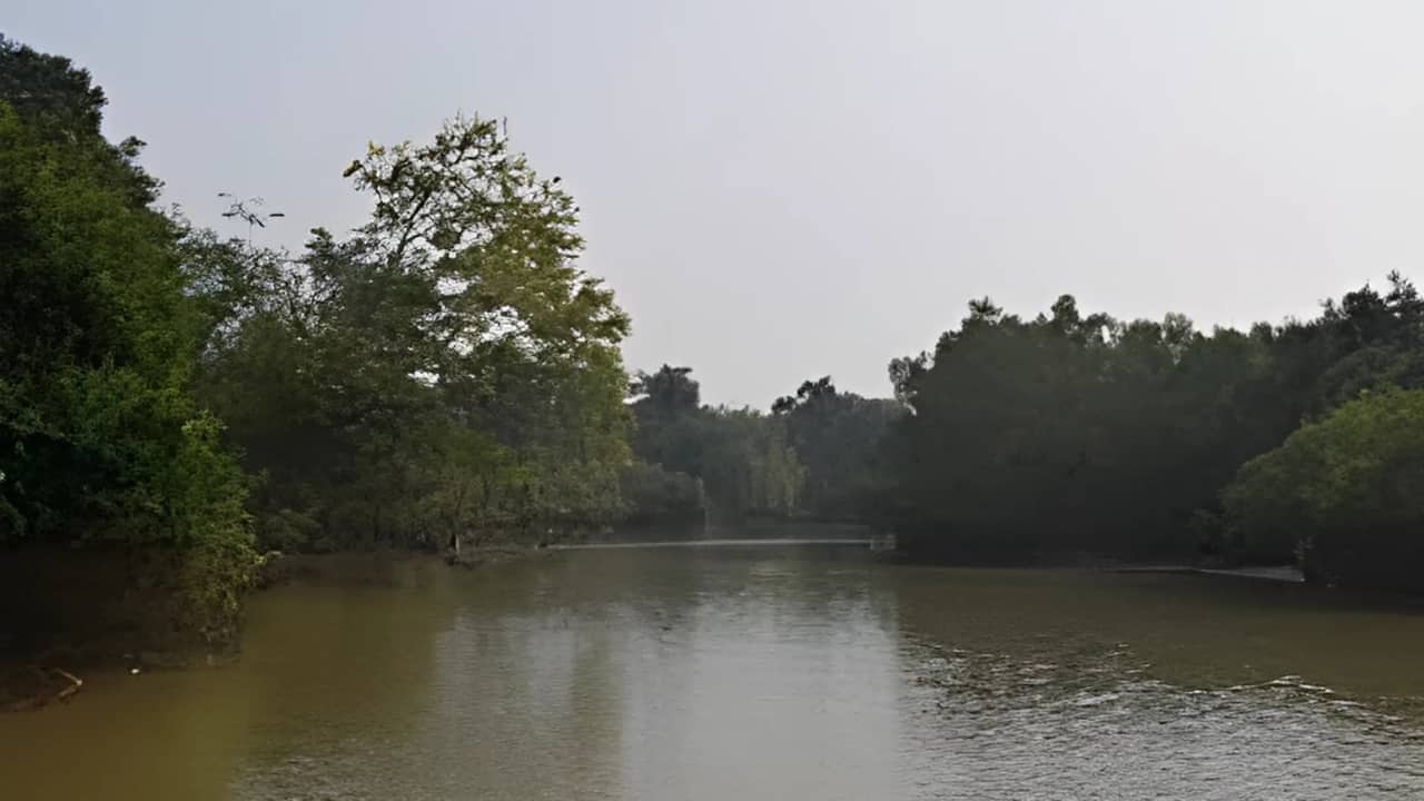 Bhitarkanika Mangroves: Home to India’s Largest Saltwater Crocodiles