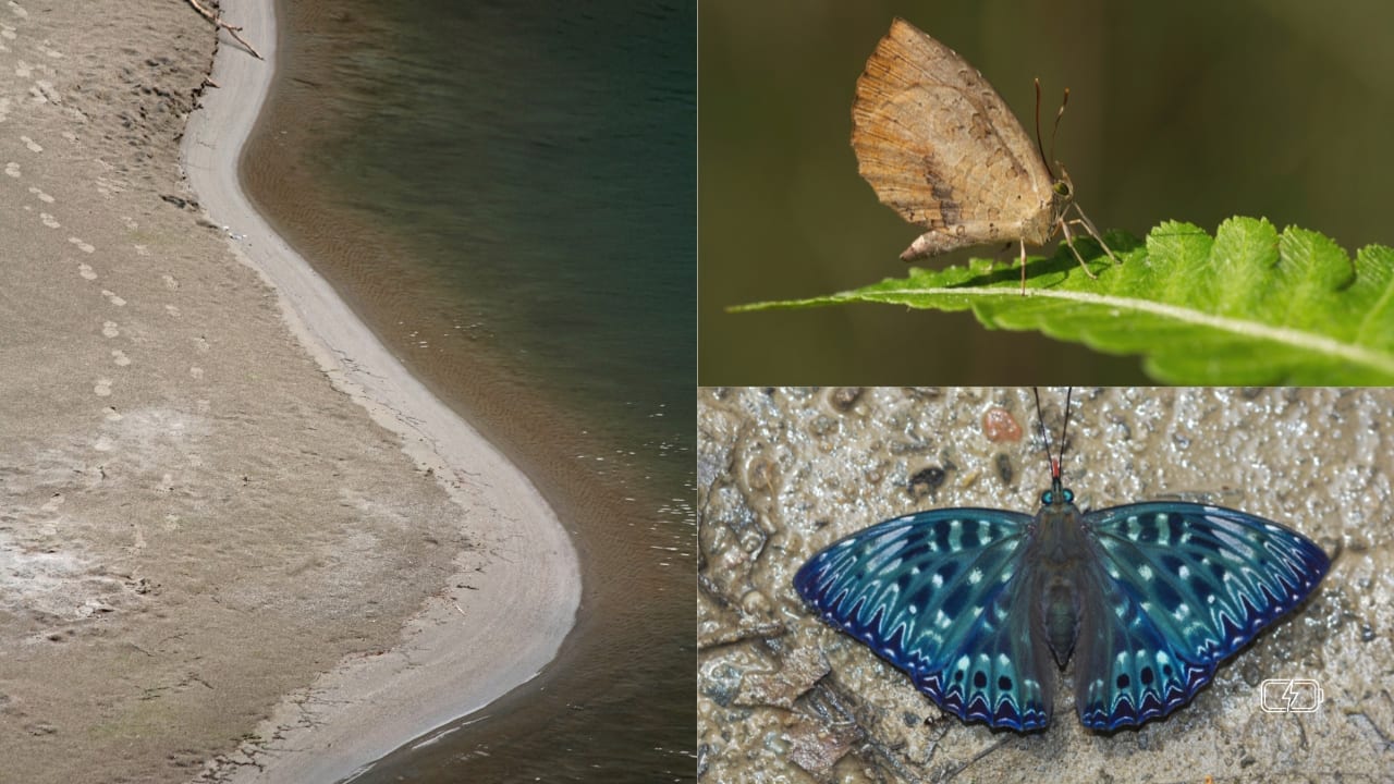 Namdapha National Park: Arunachal’s Untamed Jungle of Four Big Cats