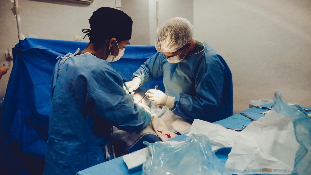 Pune couple dies after liver transplant surgery; What are causes, symptoms and treatment for liver disease? Pune couple dies after liver transplant surgery; What are causes, symptoms and treatment for liver disease?