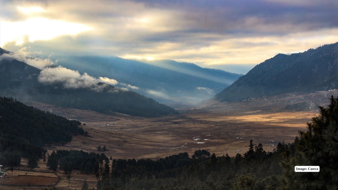 Bhutan’s Phobjikha Valley Turns Into a Black-Necked Crane Haven Every Winter