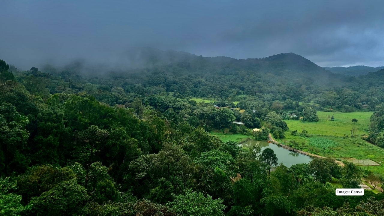 Monsoon in Coorg: Why Coffee Trails and Secret Waterfalls Make It Magical