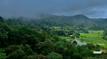 Monsoon in Coorg: Why Coffee Trails and Secret Waterfalls Make It Magical (Image: Canva)