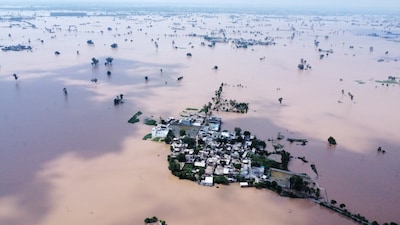 Punjab’s flood crisis may hurt PDS procurement and impact paddy prices, fear experts