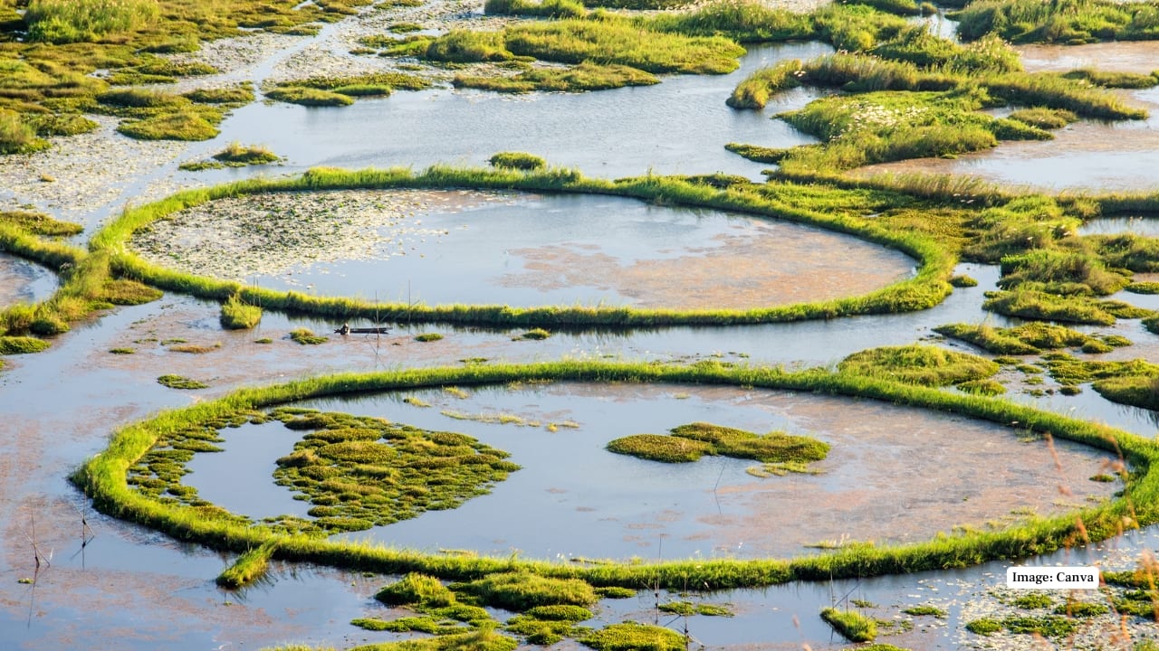 Loktak Lake, Manipur (Image: Canva)