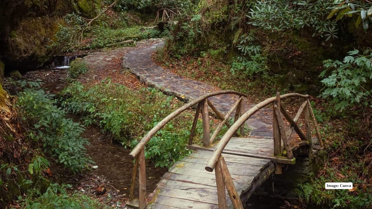 6. Local Culture and Simplicity Both Jibhi and Tandi offer a glimpse of authentic Himachali traditions, with locals still rooted in farming, festivals, and folklore, giving travellers a cultural experience beyond mainstream tourism. (Image: Canva)