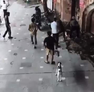 Delhi horror: Kalkaji temple’s caretaker beaten to death over ‘prasad’, attack caught on CCTV
