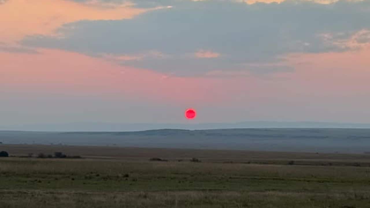 Sunset time Priyanka Chopra shared a glimpse of a breathtaking South African sunset, leaving fans in awe of the serene view. The actress often treats her followers to stunning moments from her travels, and this post was no exception. Sunset time Priyanka Chopra shared a glimpse of a breathtaking South African sunset, leaving fans in awe of the serene view. The actress often treats her followers to stunning moments from her travels, and this post was no exception.