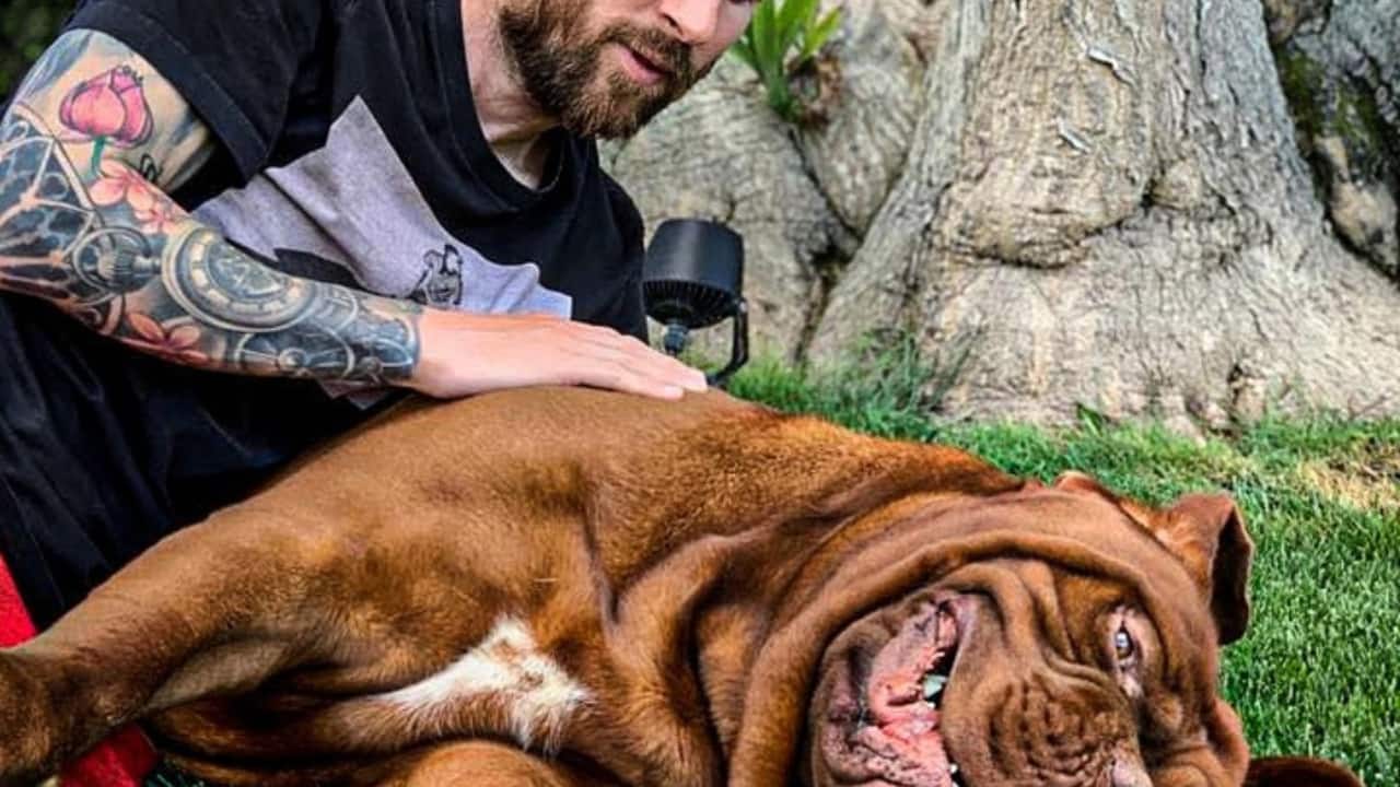 This powerful yet affectionate breed seems to mirror Messi’s grand presence both on and off the pitch.(Credit- Instagram)