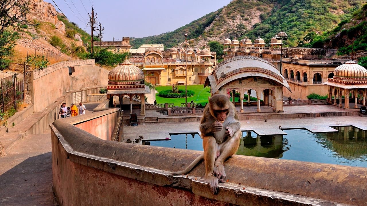 But Galta Ji is more than monkeys and mystique—it’s a revered Hindu pilgrimage site. Strongly associated with Lord Hanuman, the Monkey God, the temple complex also honours Lord Rama, Lord Krishna, and the Sun God (Surya), reflecting its deep spiritual roots. Add in its panoramic sunset views and serene trails, and you’ll see why this hidden temple is one of Rajasthan’s most fascinating offbeat destinations. (Image: Facebook/ Galta Temple)