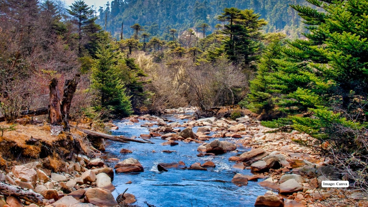 8 National Parks in Bhutan Every Nature Lover Must Visit