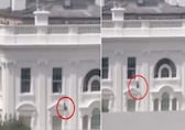 'Epstein Files' or 'Melania Trump fleeing'? Viral video of bag dropped from White House window fuels theories
