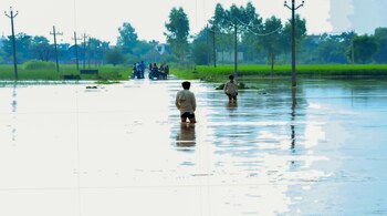heavy rains could extract a heavy toll despite better sowing