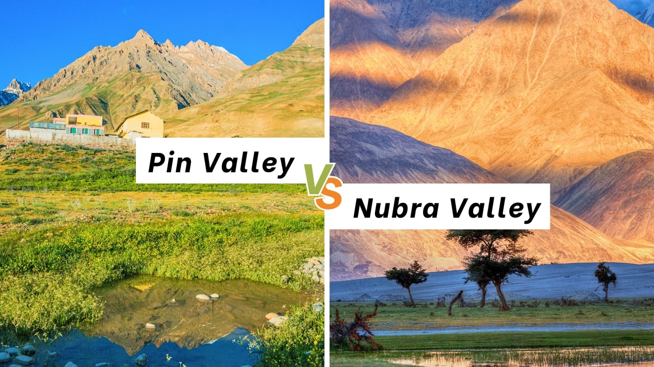 9. Valleys of Adventure and Wildlife Spiti – Pin Valley: A wildlife haven, home to snow leopards, ibex, and rare Himalayan flora. Ladakh – Nubra Valley: Known for sand dunes, Bactrian camels, and wide-open vistas—a desert paradise in the mountains. (Image: Canva)