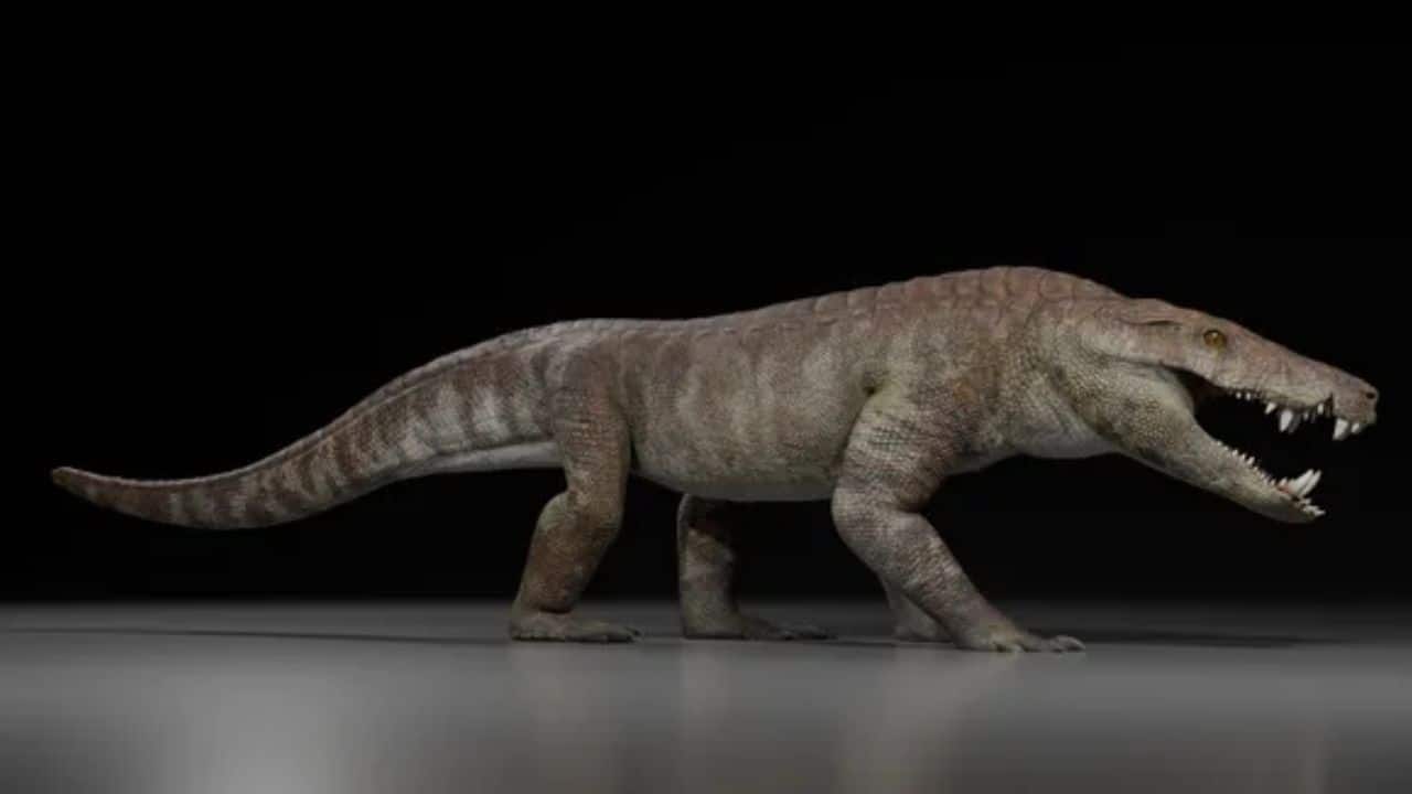 70-million-year-old apex predator who ate dinosaurs found in Patagonia, named after Egyptian god