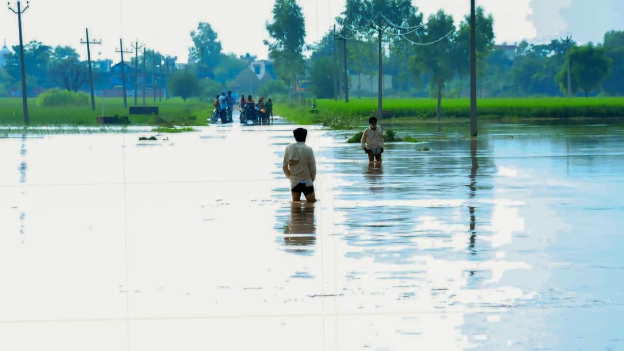 Meanwhile, farmers along Punjab's Beas and Ravi rivers have offered to sell a portion of their land to the government for the construction of permanent embankments after repeated crop destruction from annual floods, The Times of India reported. (Photo: X)