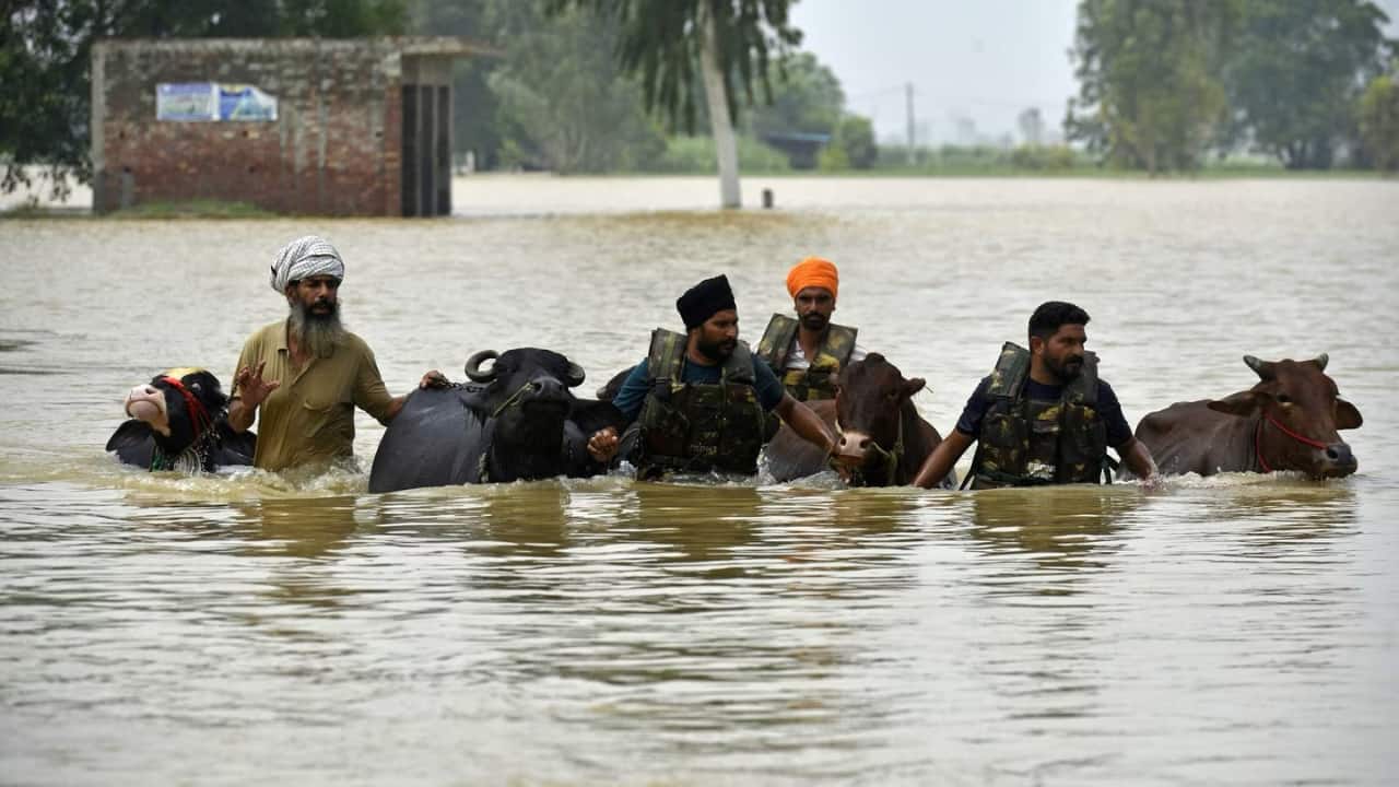On Tuesday, Punjab Governor Gulab Chand Kataria and Chief Minister Bhagwant Mann separately visited some of the worst-affected areas to take stock of the situation. Mann toured the flood-affected areas of Ferozepur on a boat; Kataria visited Ferozepur and the severely affected areas of Tarn Taran. (Photo: X)