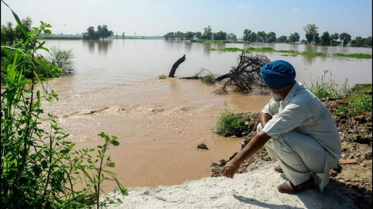 Cabinet Minister Hardeep Singh Mundian said the scale of the disaster has widened, with all 23 districts now affected, compared to just 12 earlier. He added that nearly 1,400 villages and more than 3.54 lakh people have been impacted. So far, around 20,000 people have been evacuated from submerged areas, according to a report by The Indian Express. (Photo: X)