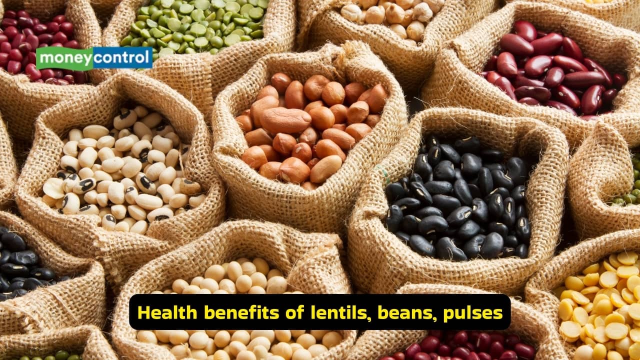 Diet tips: Are you getting enough protein from your daily meals? Follow this expert diet plan