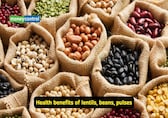 Diet tips: Are you getting enough protein from your daily meals? Follow this expert diet plan