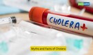 Cholera myths busted: 7 common misconceptions and what you need to know