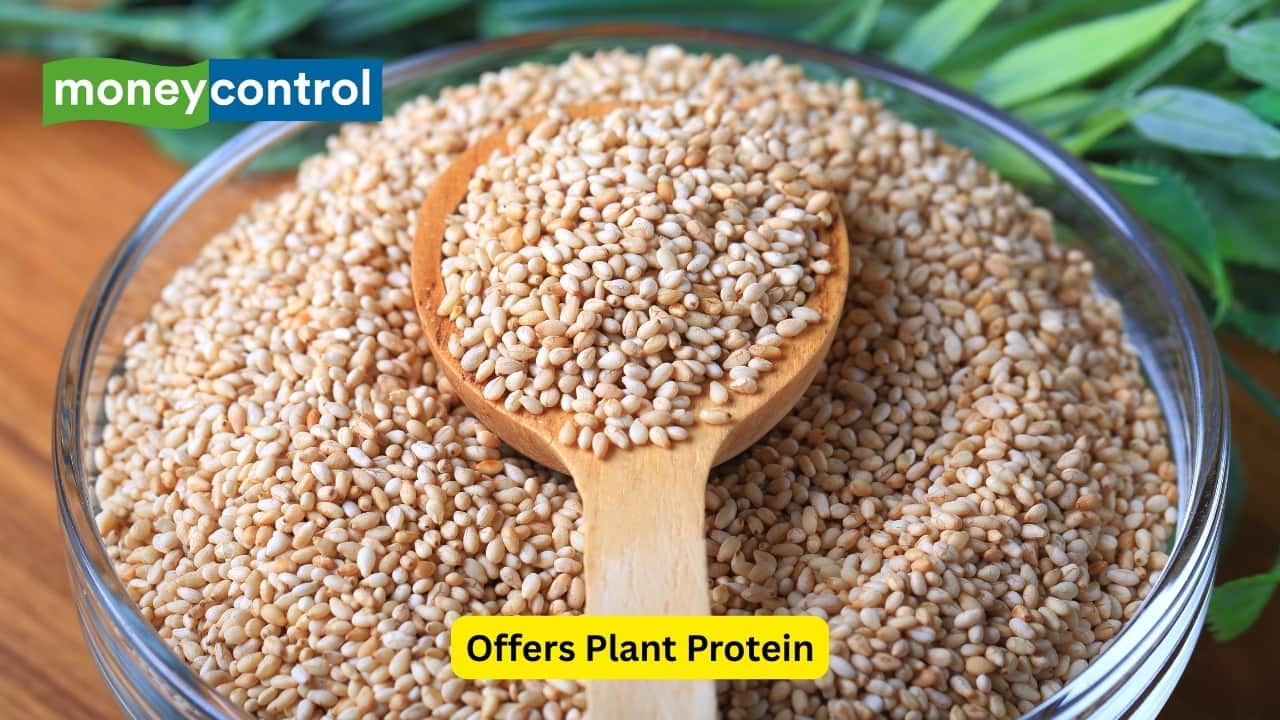 Offers Plant Protein Sesame seeds serve as a great protein source for those who don't eat meat or animal products. Protein has an impact on muscle repair, hormone production, and enzyme building. Adding sesame seeds to your meals ensures you get plant-based protein that's easy on your stomach and pairs well with other grains and legumes.(Image: Canva) Offers Plant Protein Sesame seeds serve as a great protein source for those who don't eat meat or animal products. Protein has an impact on muscle repair, hormone production, and enzyme building. Adding sesame seeds to your meals ensures you get plant-based protein that's easy on your stomach and pairs well with other grains and legumes.(Image: Canva)