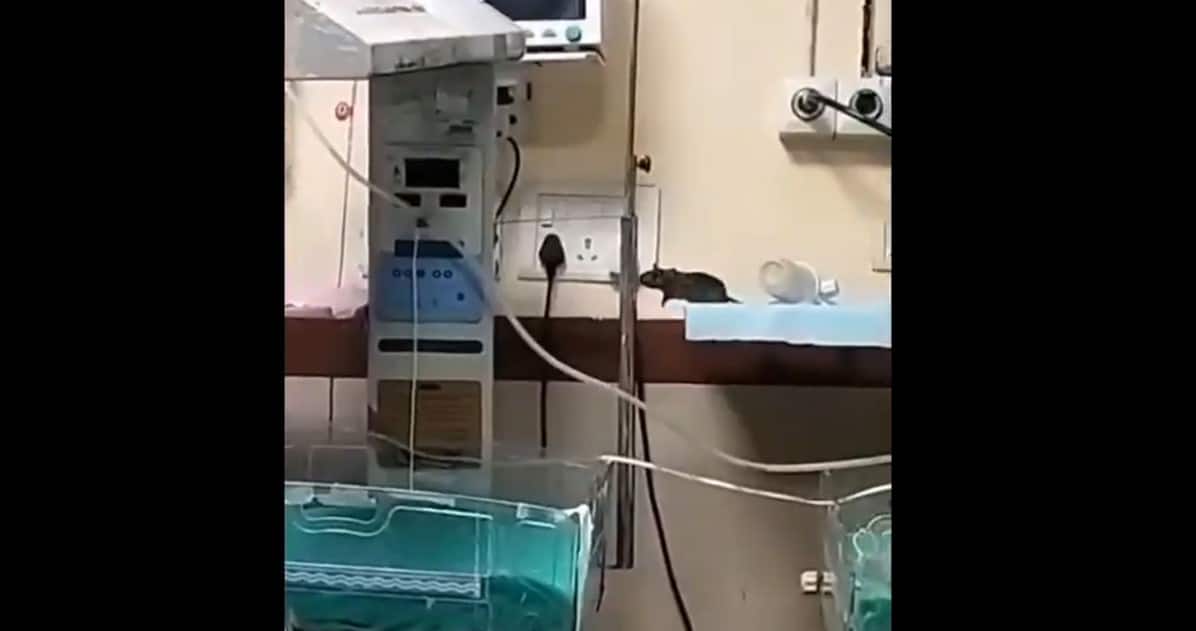 Indore's MY Hospital horror: Another newborn bitten by rats dies