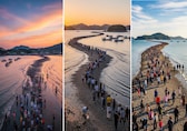 A Real-Life Miracle of Moses: South Korea’s Sea Splits Twice a Year for Only an Hour, Revealing a Road You Can Walk Across
