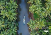 What All To See on a 6-Day Budget Trip to Kerala