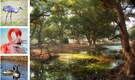 From Siberian Crane to Flamingo: 10 Best Wildlife Parks in India To Watch Migratory Birds