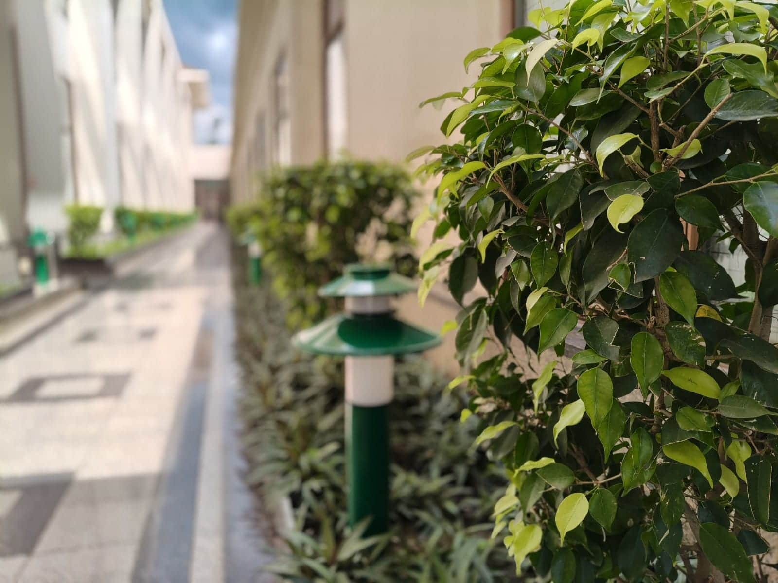 OnePlus Norc CE5 sample3