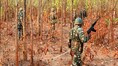 8 Naxals estimated dead in Jharkhand anti-Naxal operation