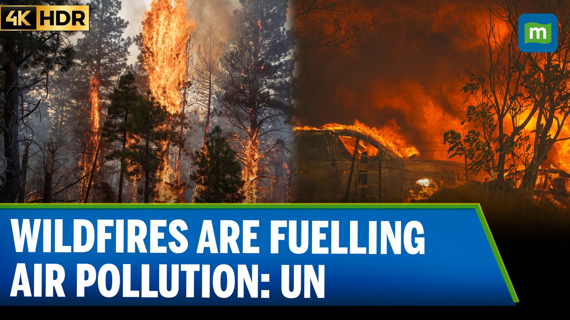 Wildfires producing ‘witches’ brew’ of air pollution: UN Weather Body