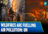 Wildfires producing ‘witches’ brew’ of air pollution: UN Weather Body