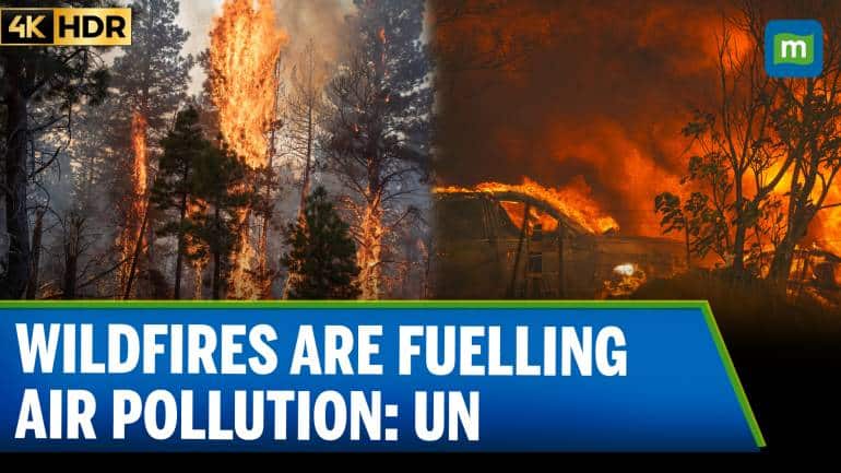 Wildfires producing ‘witches’ brew’ of air pollution: UN Weather Body