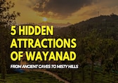 5 Hidden Attractions of Wayanad: From Ancient Caves To Misty Hills