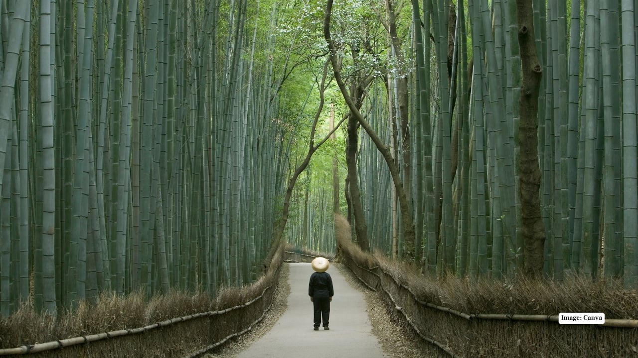 10. Japan — 36.9 Million Visitors Japan balances the neon shimmer of Tokyo with Kyoto’s temple quiet, samurai lore with cutting-edge tech, ramen counters with centuries-old tea ceremonies. Spring brings cherry blossoms, autumn cloaks mountains in fire-red leaves, and winter blankets Hokkaido’s slopes in powder snow. It’s a country that honors the past even as it races toward the future—a paradox travelers can’t resist.