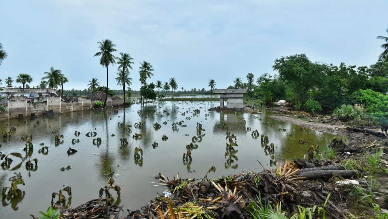 14.44 lakh hectares of crops damaged: How August rains in Maharashtra affected 29 districts