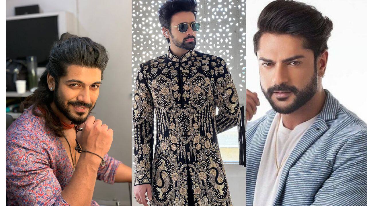 Ashish Kapoor, Pearl V Puri and other TV stars who have been arrested