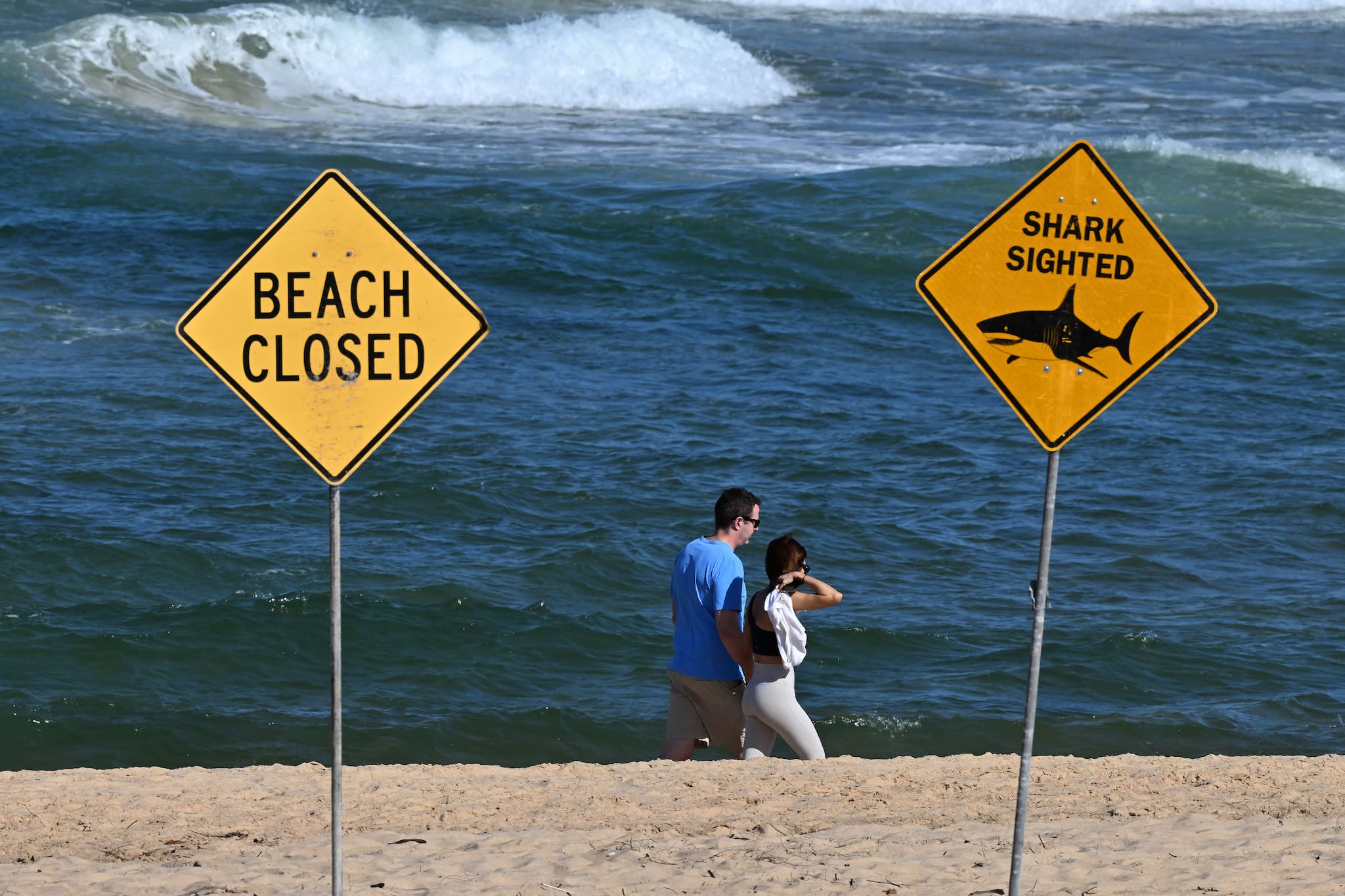 Surfer killed in rare shark attack at Sydney’s long reef beach