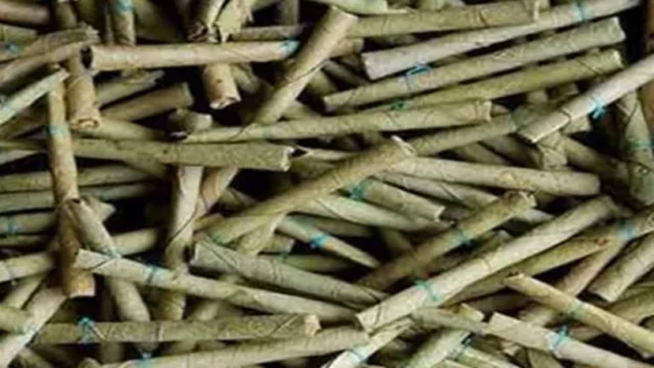 GST cut on bidis unlikely to sway Bihar voters, analysis shows