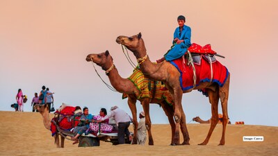 Exploring the Thar Desert: Top 5 Things to Do and Experience
