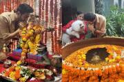 From Salman Khan to Kartik Aryan, Bollywood Celebs celebrate Ganapati Visarjan with dhol beats and dance