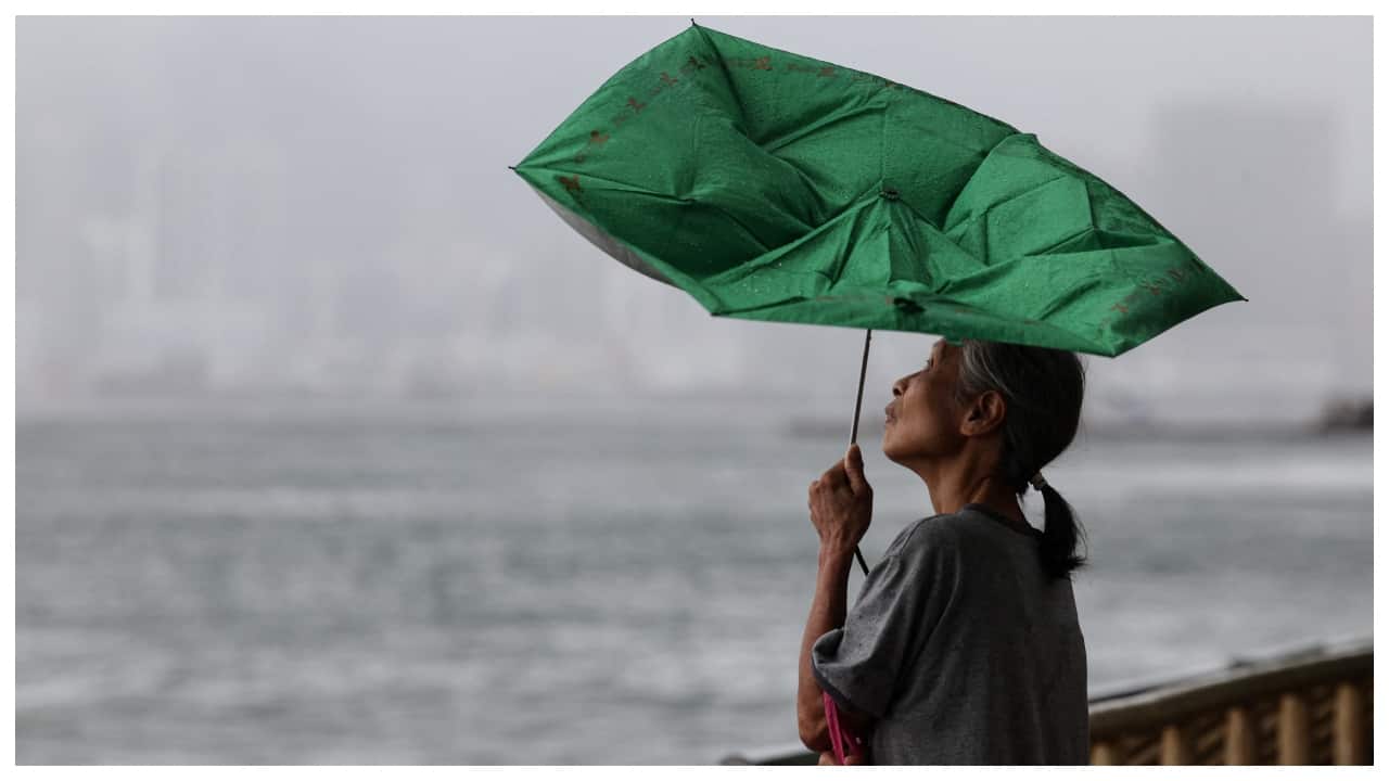 Hong Kong schools, businesses close as Tropical Storm Tapah brushes past