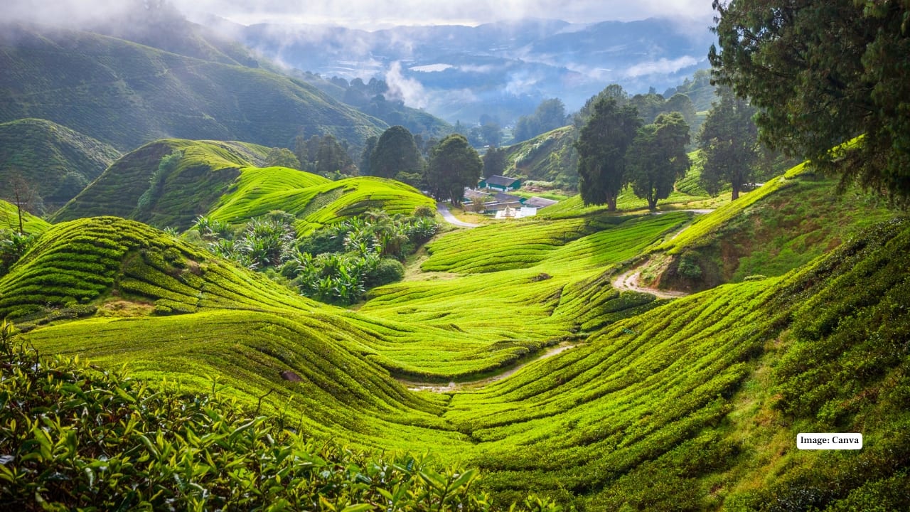 8 Best Rural Destinations in Asia for 2025—Wait Till You See the One in India