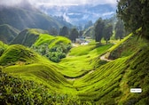 8 Best Rural Destinations in Asia for 2025—Wait Till You See the One in India