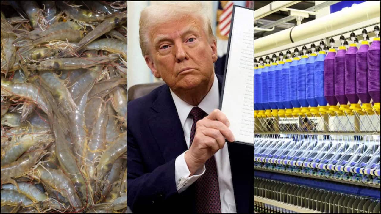Avanti Feeds, Gokaldas Exports, other shrimp and textile stocks jump up to 5%: Here's why