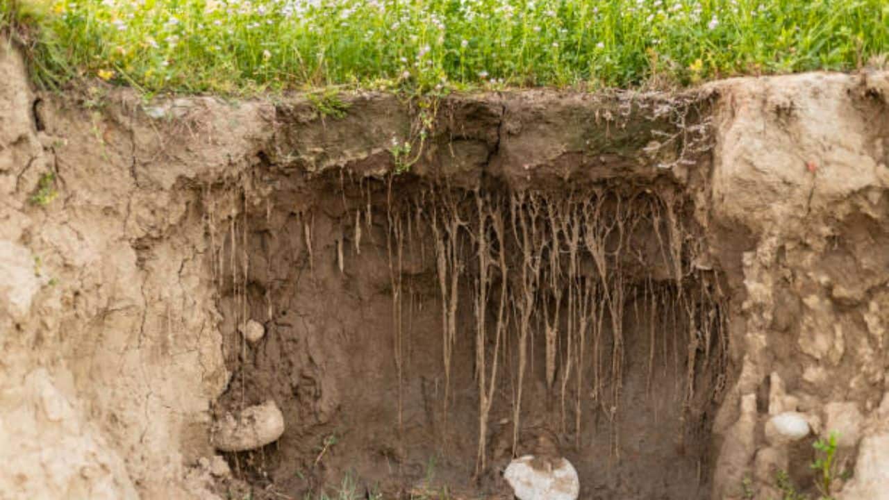 Soil erosion crisis in Pilibhit after floods; villagers denied compensation due to lack of land titles  